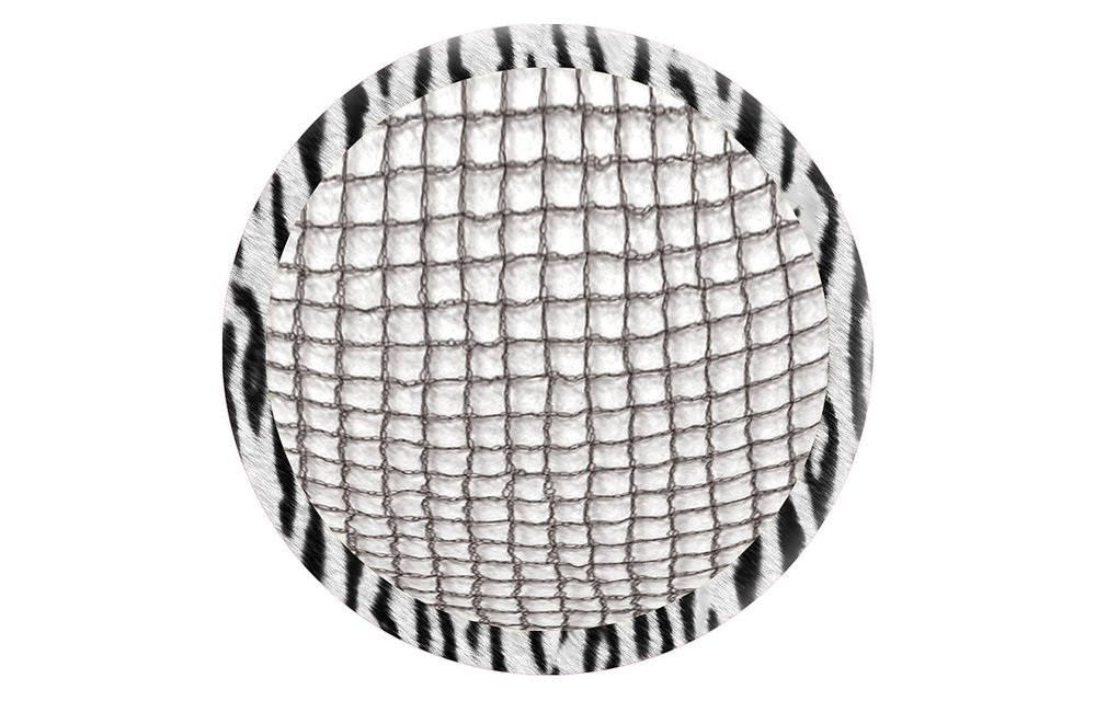 RWR Ultra Sheer Bun Net Kit