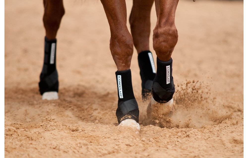 Iconoclast Orthopedic Support Boots Hind