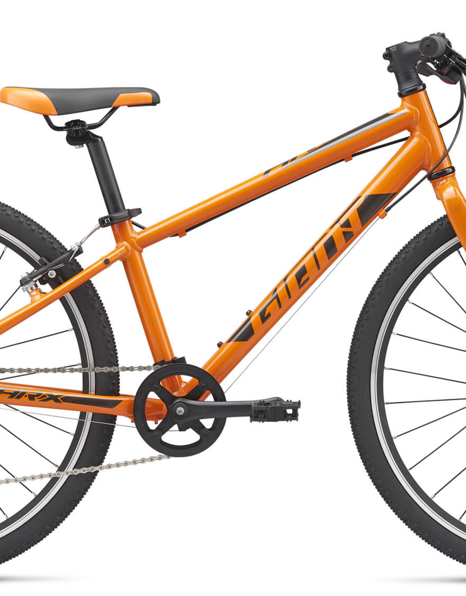 Giant Arx 24 2021 2024 www.alhudapk