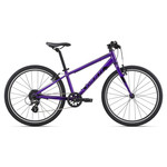 Giant GIANT ARX 24 One size Purple