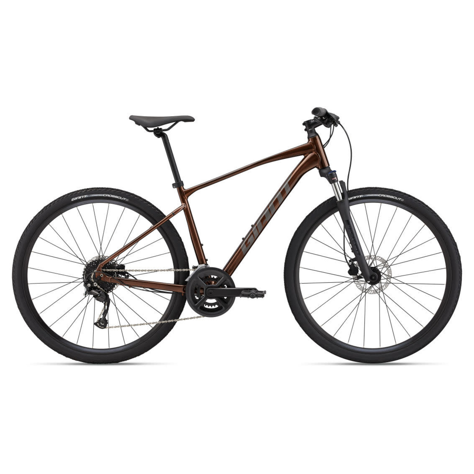 Giant Giant Roam Disc 2 L Hematite