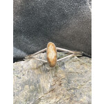 Fossil Walrus Ivory Cuff