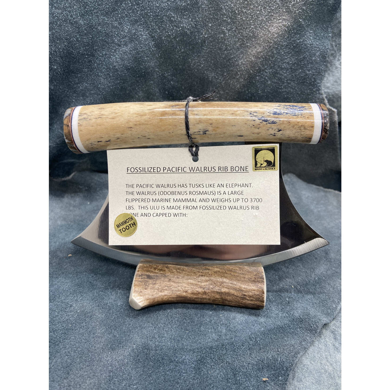 Fossilized Pacific Walrus Rib Bone and Mammoth Tooth Ulu