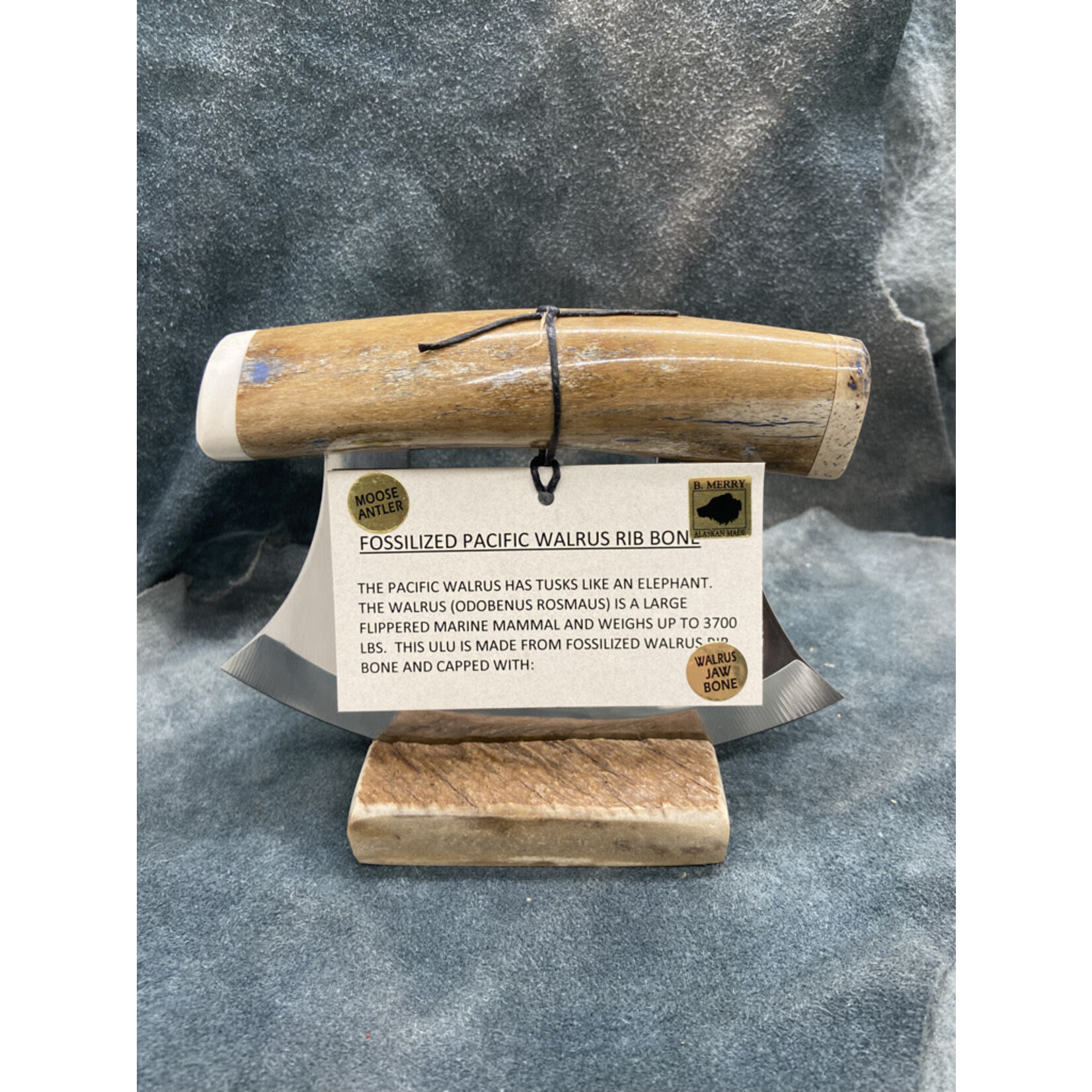 Fossilized Pacific Walrus Rib Bone and Moose Antler Ulu