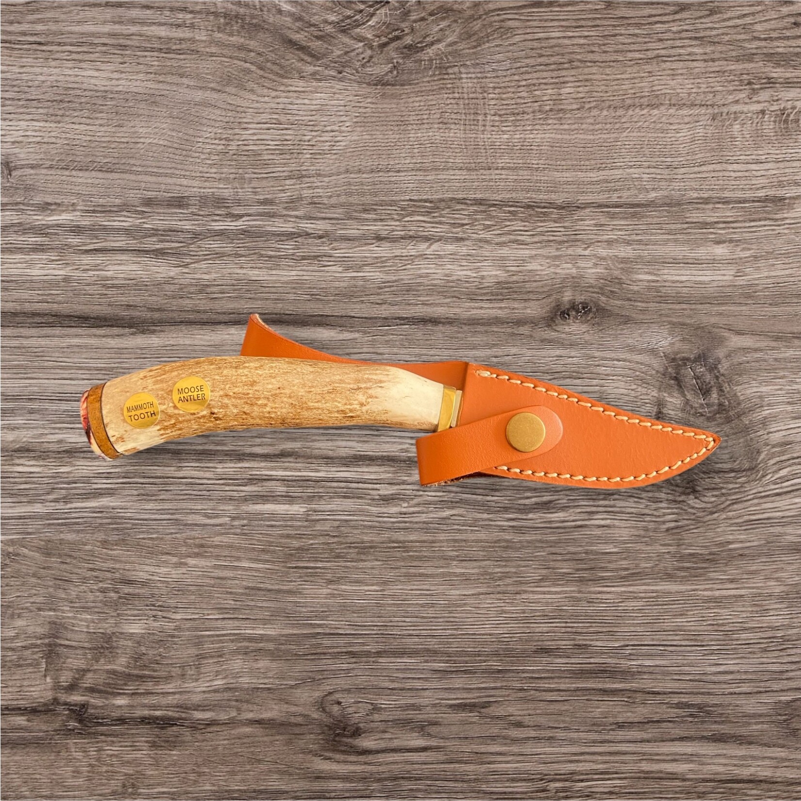 Bob Merry Moose Antler & Mammoth Tooth Clip Point 3