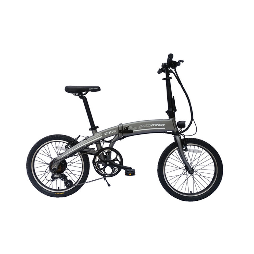 northern folding bike