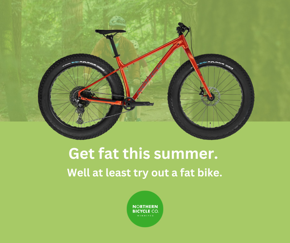 Gear up for Summer Adventures on a Fat Bike