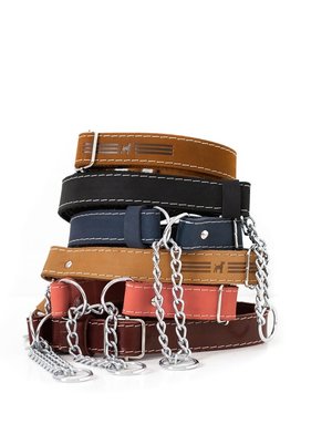 Leather Martingale Collar