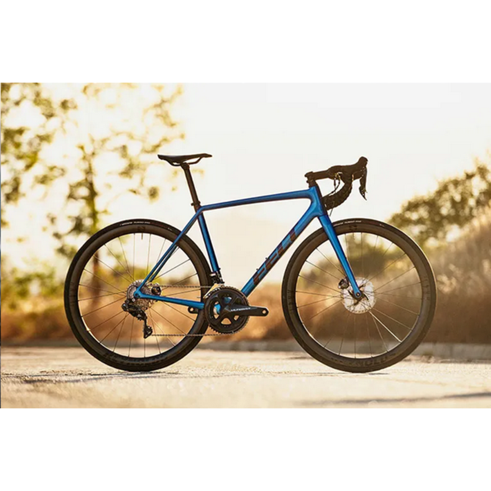 Felt Felt FR30 Disc 105