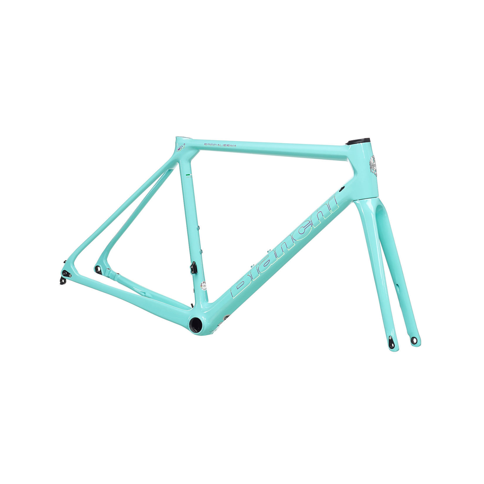 Bianchi Bianchi Specialissima CV Disc Frameset 1 1/2  55cm