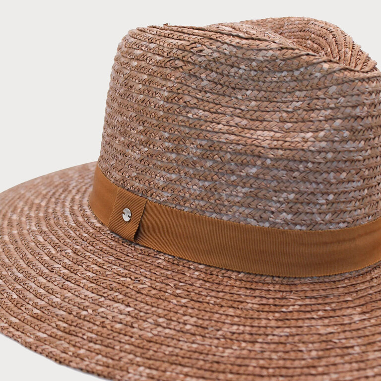 ACE OF SOMETHING BOLOGNA FEDORA IN NUTMEG