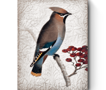 T485 WAXWING