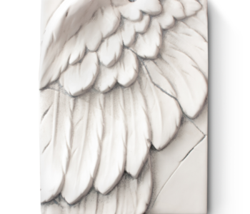 T05 ANGELS WING