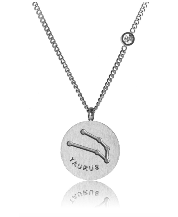 FAB Accessories Taurus Necklace/ Brushed Stainless Steel