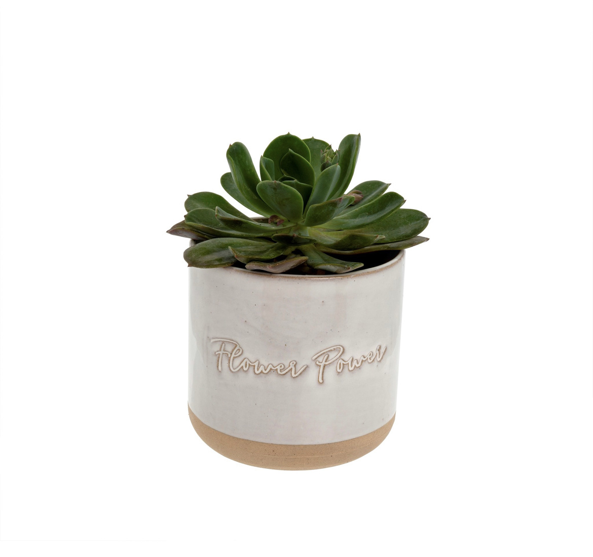 Indaba Trading Co. Flower Power Pot