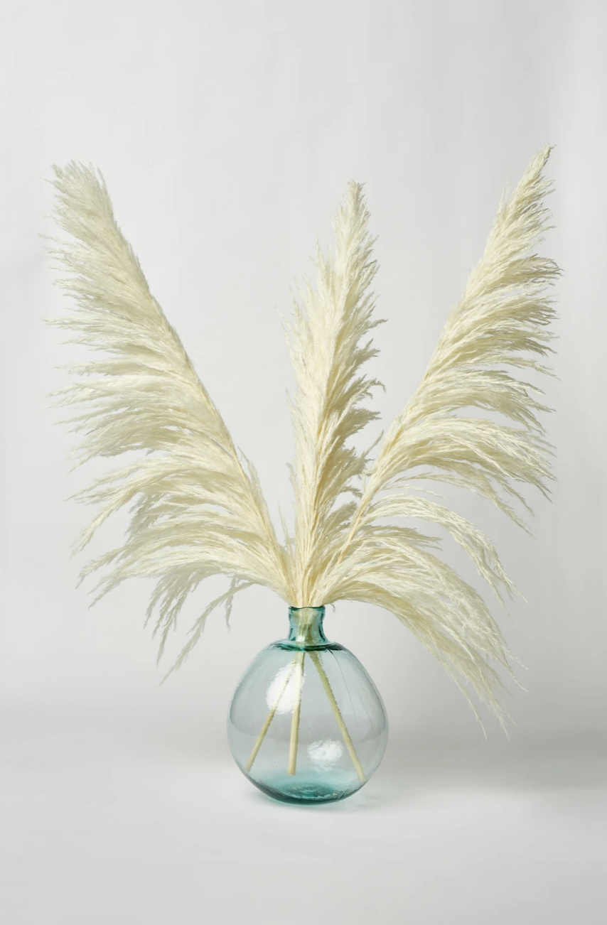 Luxe B Pampas Grass Type 8 "New Bud", Bleached White 3 Steams