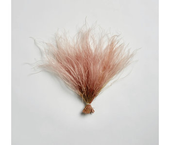 Pink Feather Grass