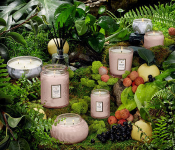 Voluspa Panjore Lychee Candle Collection