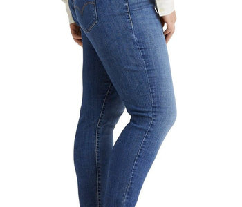 311 Shaping Skinny, Lapis Gallop