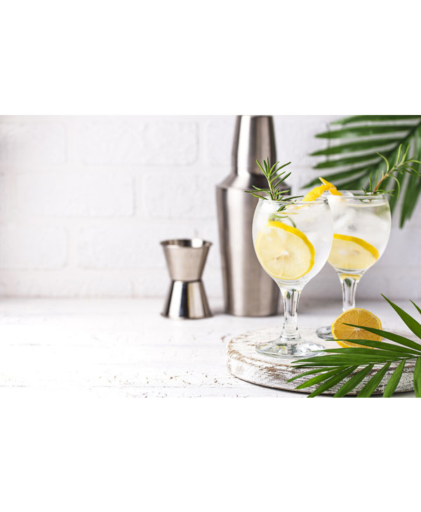 GOURMET VILLAGE Gin Spritz Lemon Mix