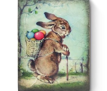 SP30 PETER COTTONTAIL