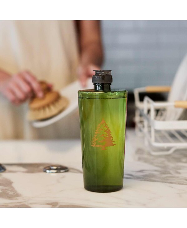Thymes Frasier Fir Dishwashing Liquid, 16fl oz