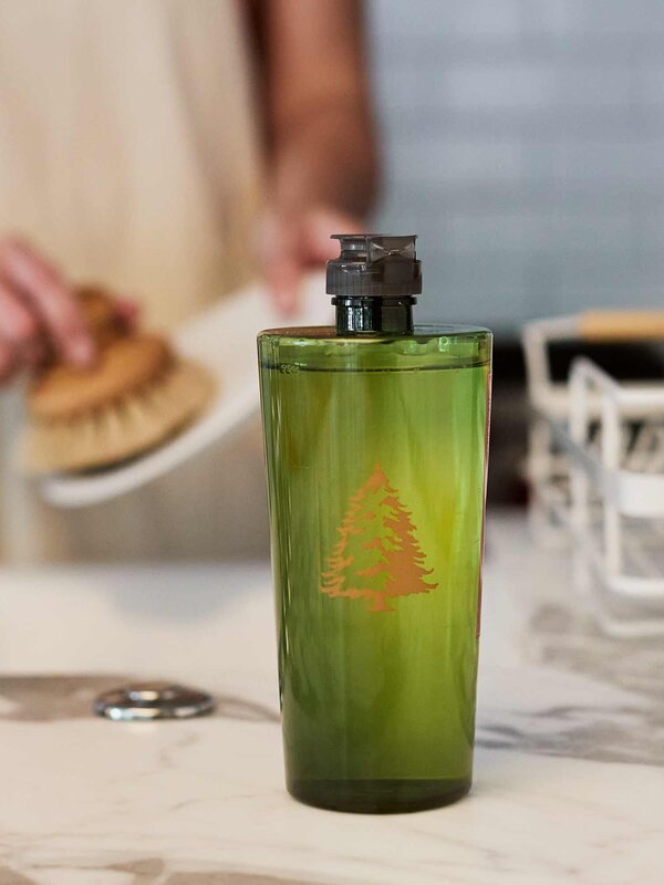 Thymes Frasier Fir Dishwashing Liquid, 16fl oz