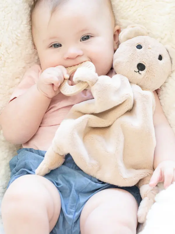 Bella Tunno Teether Buddy