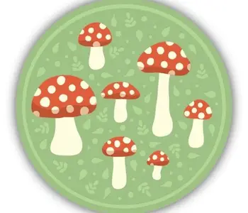 Mushroom Circle Vinyl