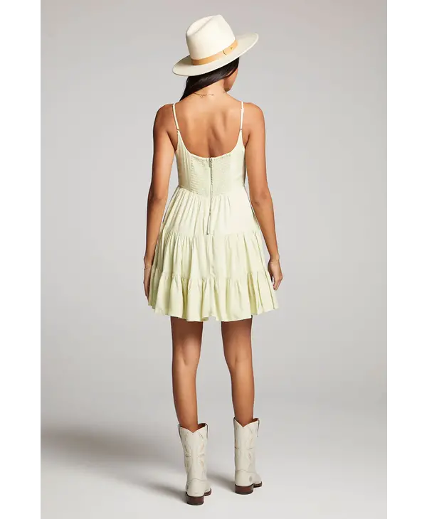 Saltwater Luxe Ross Mini Dress