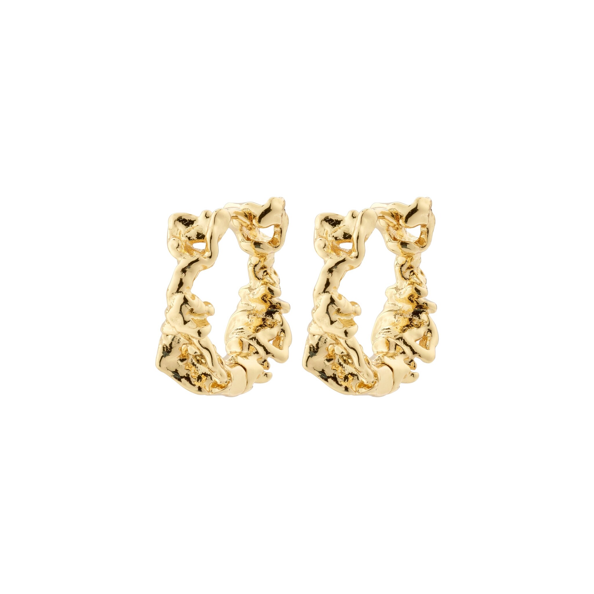 Pilgrim TRUST Hoop Earrings