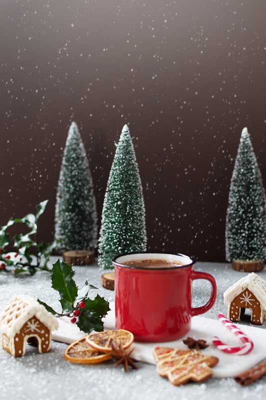 GOURMET VILLAGE Mini Hot Chocolate Letters to Santa