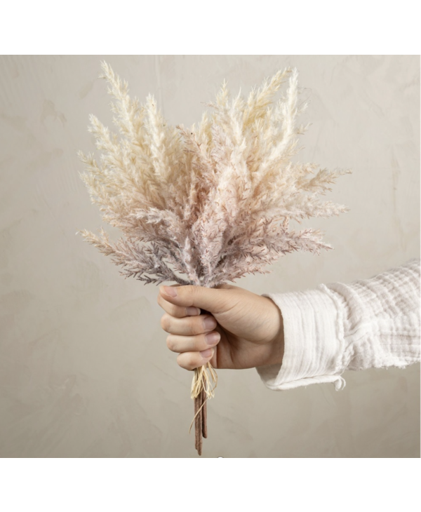 Indaba Trading Co. Pampas Grass Bundle, Blush