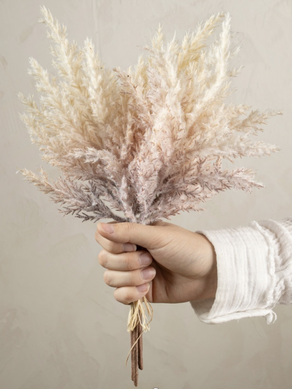 Indaba Trading Co. Pampas Grass Bundle, Blush