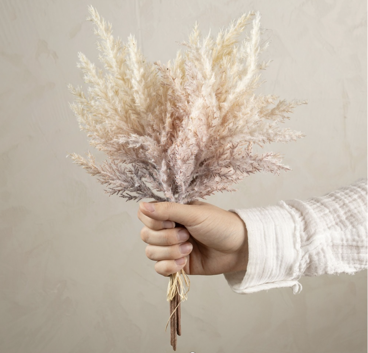 Indaba Trading Co. Pampas Grass Bundle, Blush