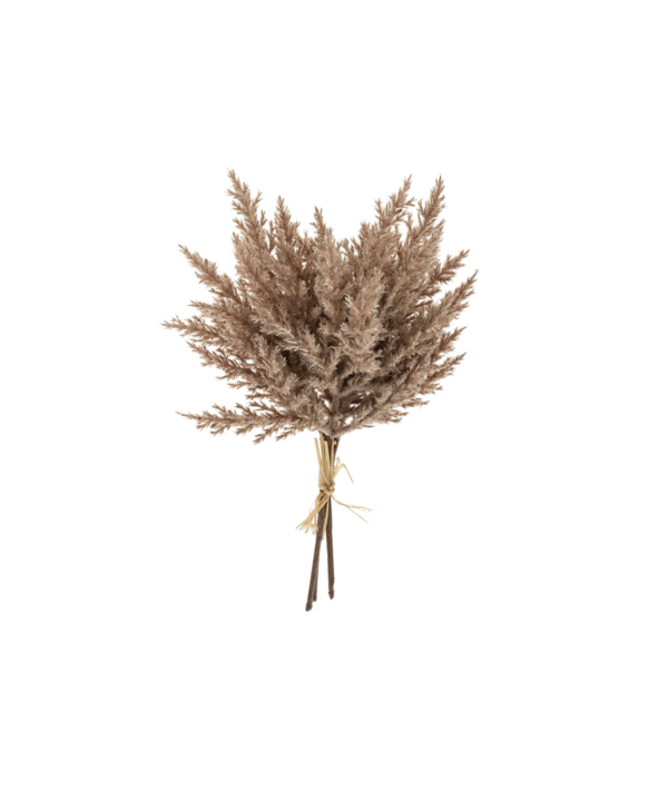 Indaba Trading Co. Pampas Grass Bundle
