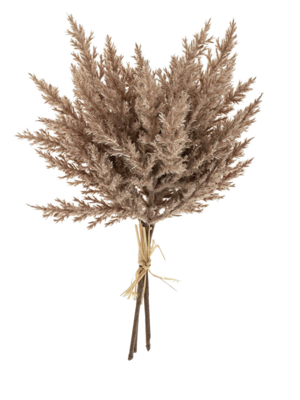 Indaba Trading Co. Pampas Grass Bundle