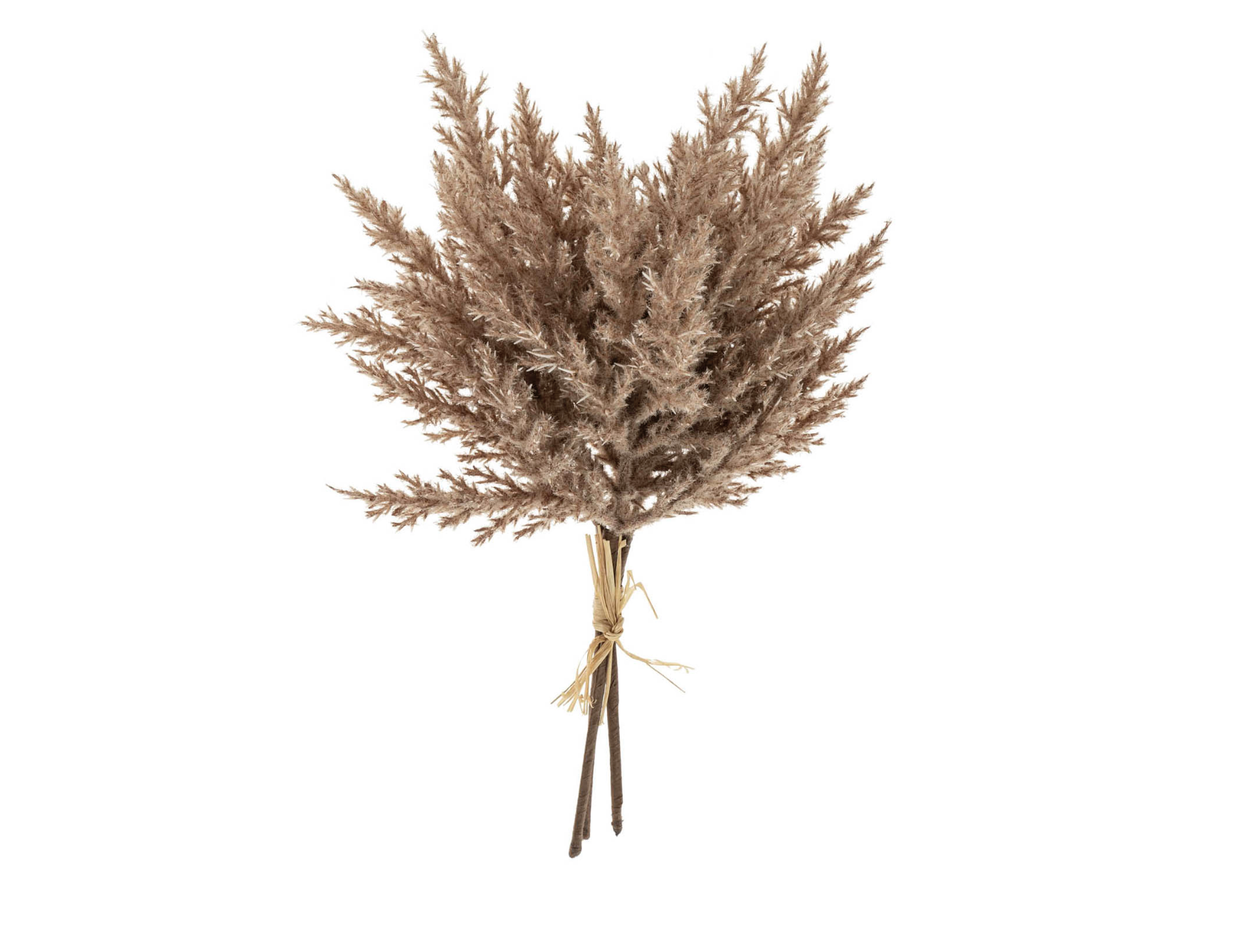 Indaba Trading Co. Pampas Grass Bundle