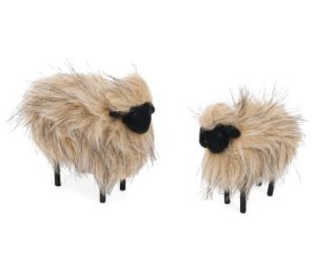 Wool Sheep
