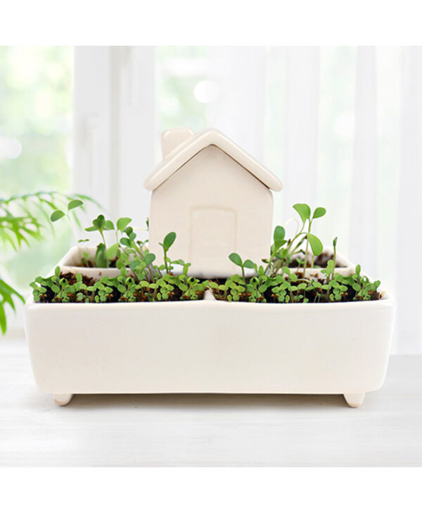 Gift Republic Self Watering House: Herb Garden