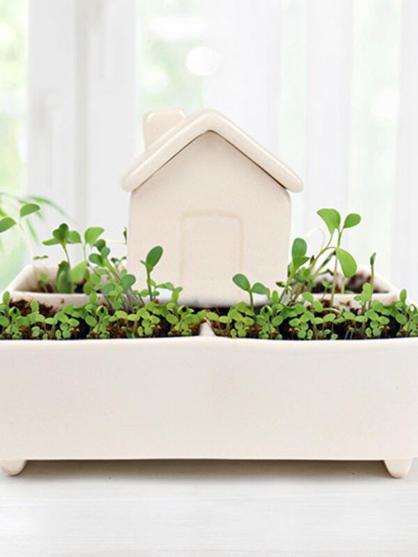 Gift Republic Self Watering House: Herb Garden