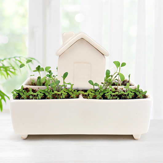 Gift Republic Self Watering House: Herb Garden