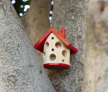 Ladybug House