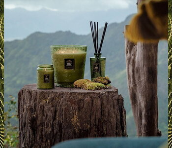Voluspa Temple Moss Candle Collection