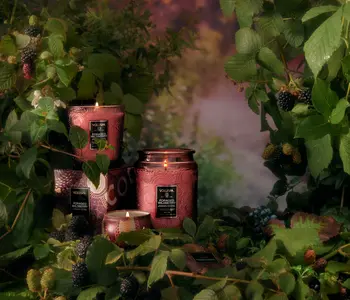 Voluspa Foraged Wildberry Candle Collection