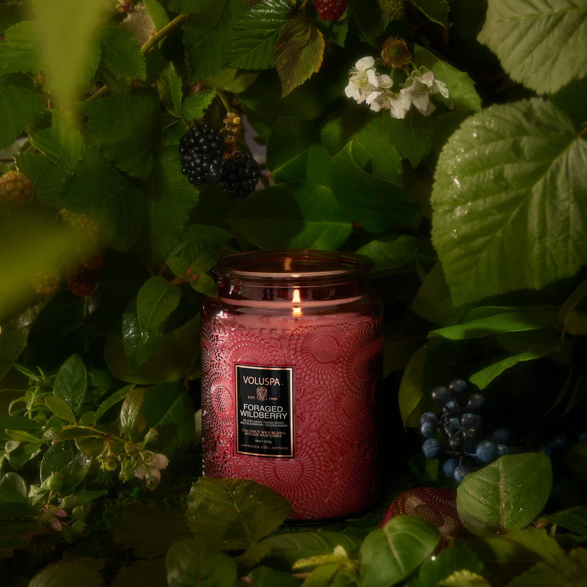 Voluspa Foraged Wildberry
