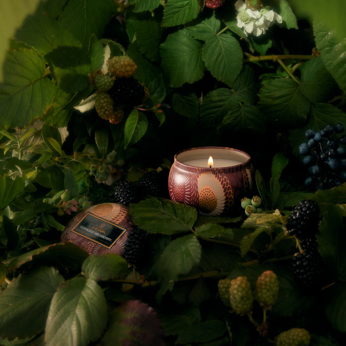 Voluspa Foraged Wildberry