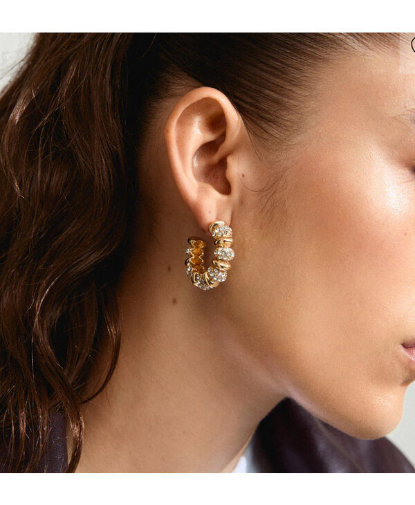 Pilgrim DELPHINE Earrings