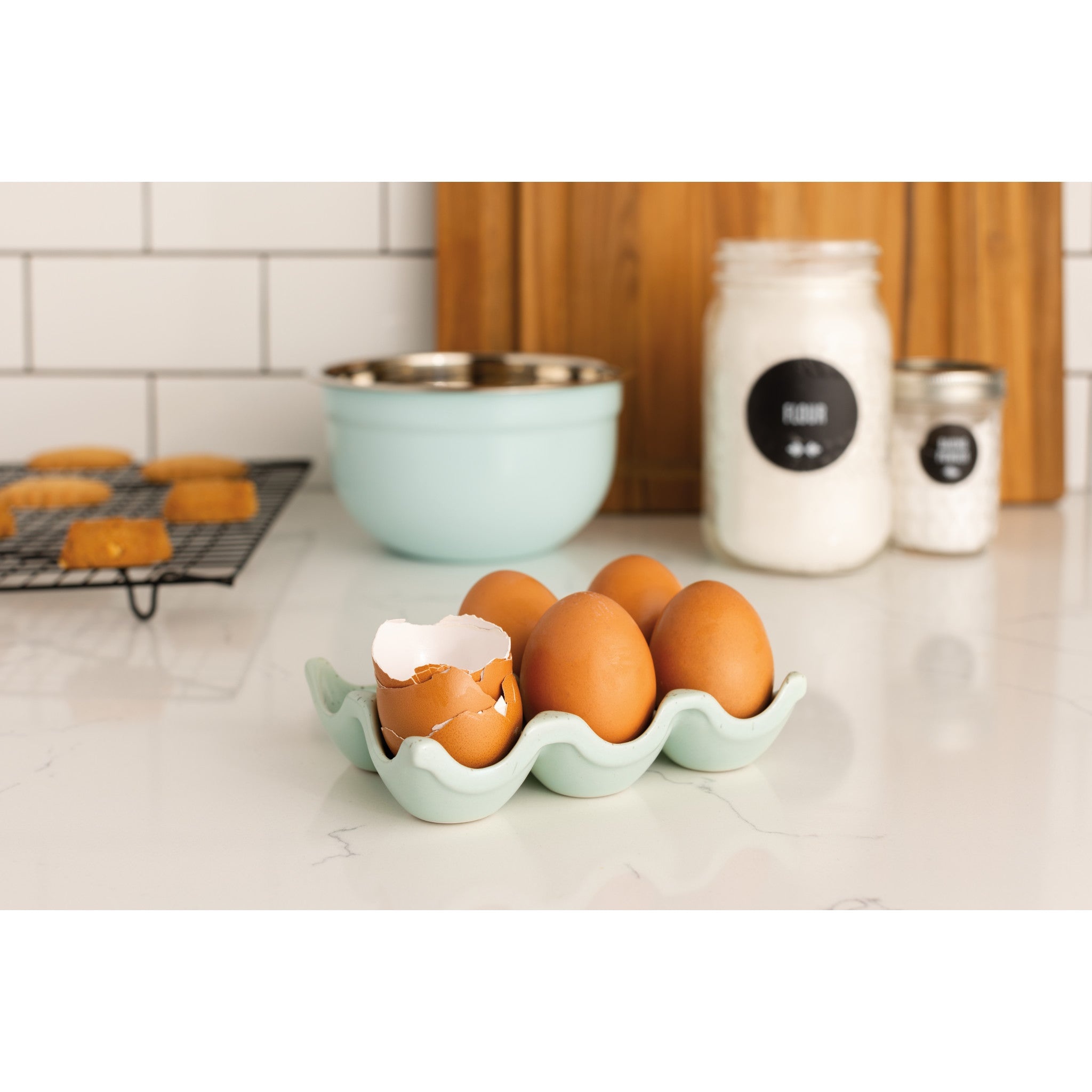 Danica Robin's Egg Speckle Egg Crate