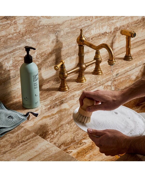 Guests on Earth Dish Soap